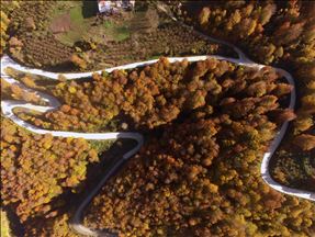 Otoño en el Monte Nebiyan en Samsun de Turquía