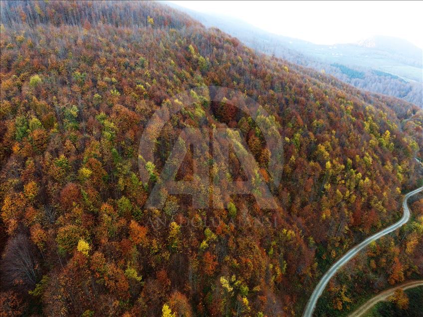 Nebiyan Dağı'nda sonbahar