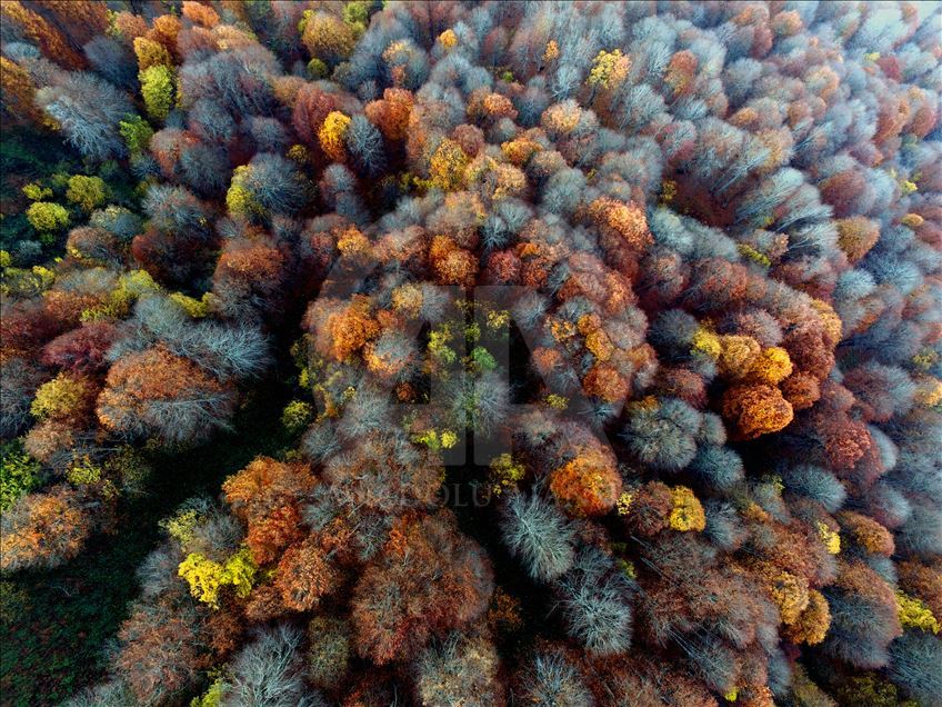 Nebiyan Dağı'nda sonbahar