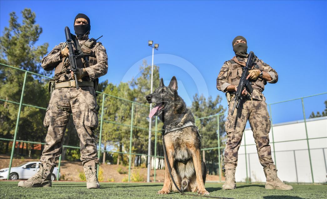 Un perro del escuadrón antibombas se retira