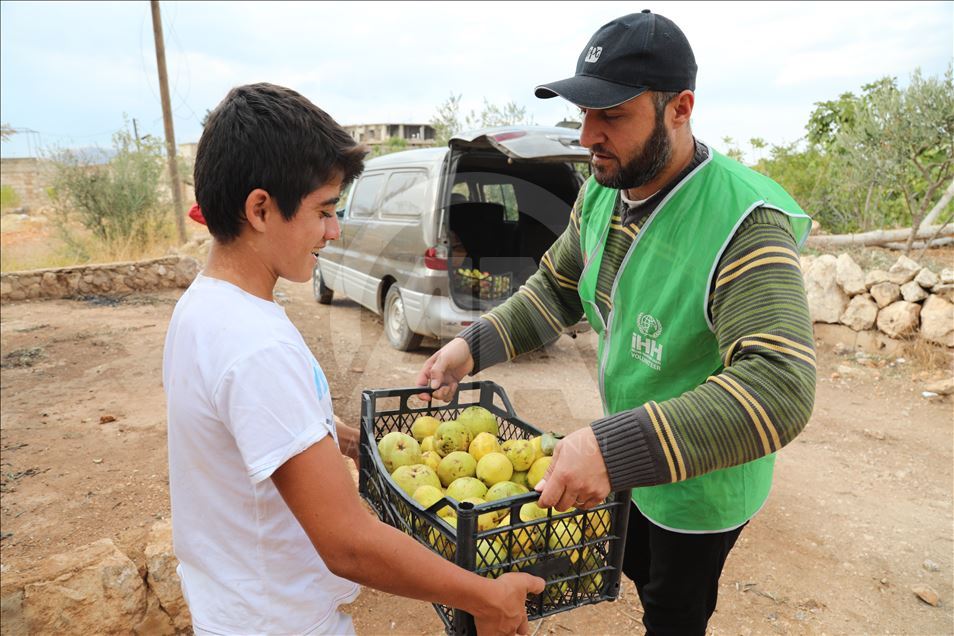 توزیع 150 تن میوه میان آوارگان سوری در ادلب
