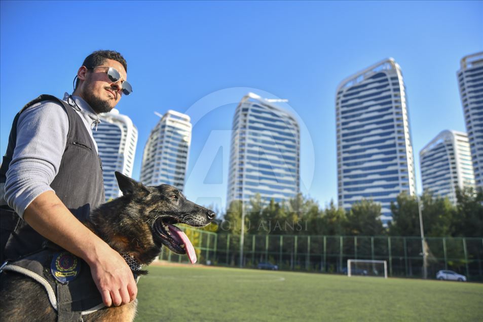 Un perro del escuadrón antibombas se retira