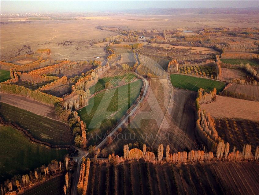 Autumn season on foothills of Mount Agri in Turkey's Igdir