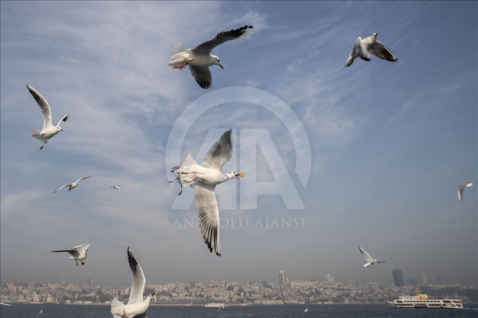 İstanbul'da günlük yaşam