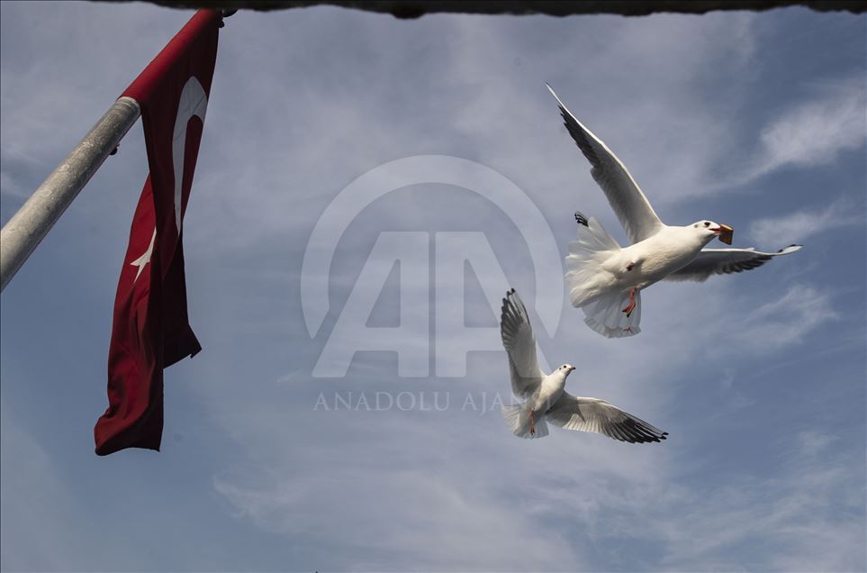 İstanbul'da günlük yaşam