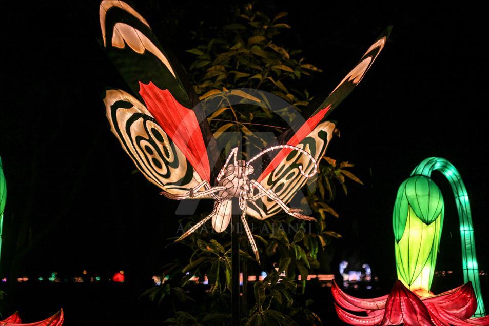 Festival "Colombia brilla" en el Jardín Botánico de Bogotá