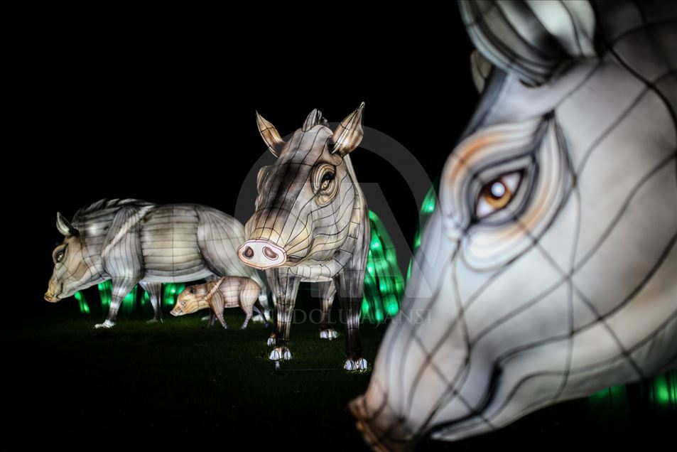 Festival "Colombia brilla" en el Jardín Botánico de Bogotá