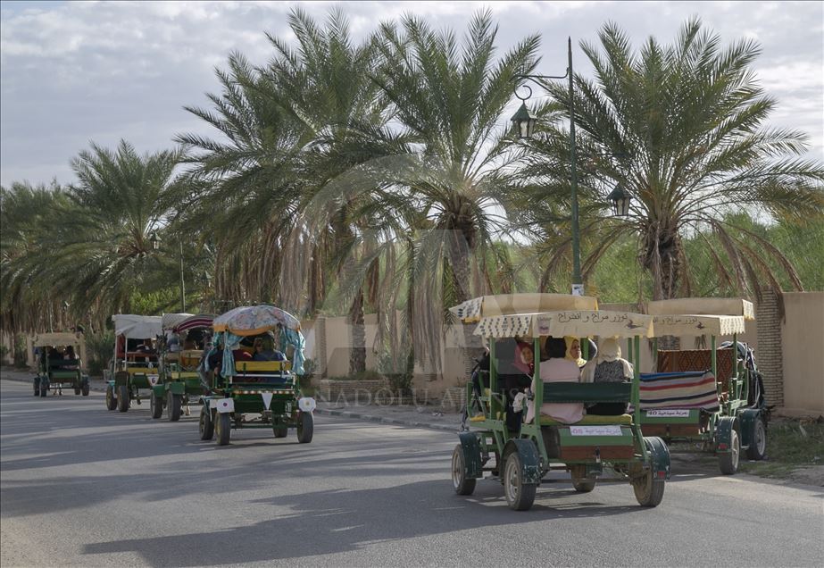 "توزر".. روح السياحة المحلية والوافدة في قلب الجنوب التونسي