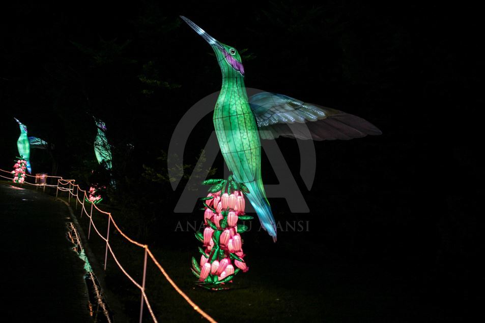 Festival "Colombia brilla" en el Jardín Botánico de Bogotá