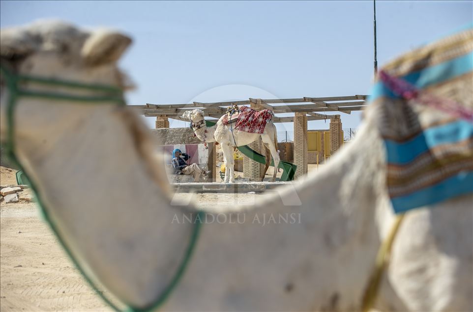 "توزر".. روح السياحة المحلية والوافدة في قلب الجنوب التونسي