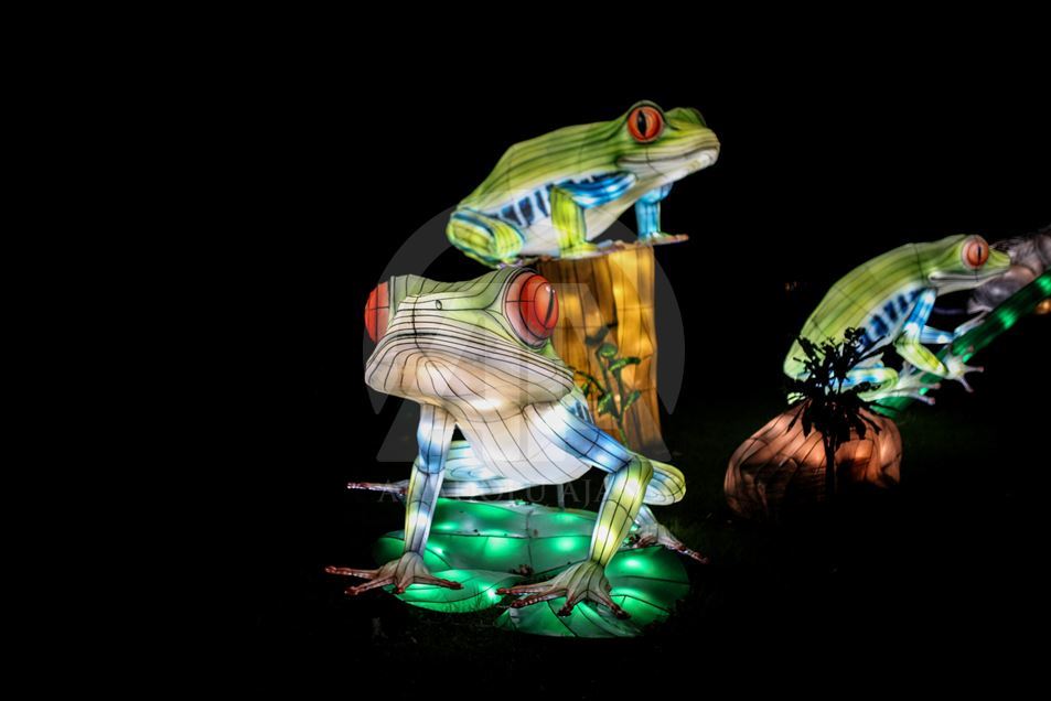 Festival "Colombia brilla" en el Jardín Botánico de Bogotá