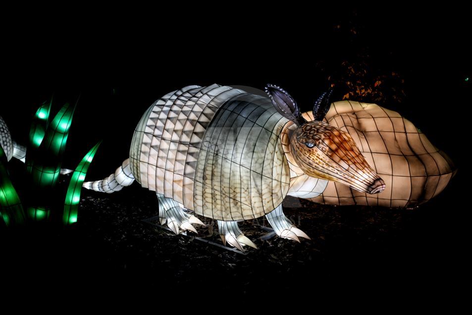 Festival "Colombia brilla" en el Jardín Botánico de Bogotá
