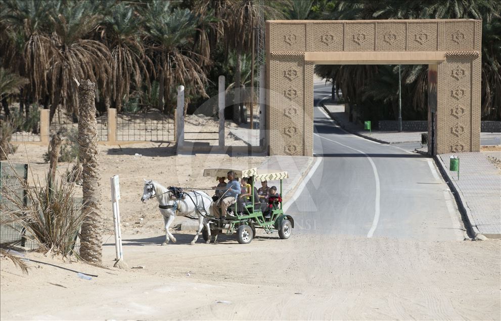 "توزر".. روح السياحة المحلية والوافدة في قلب الجنوب التونسي