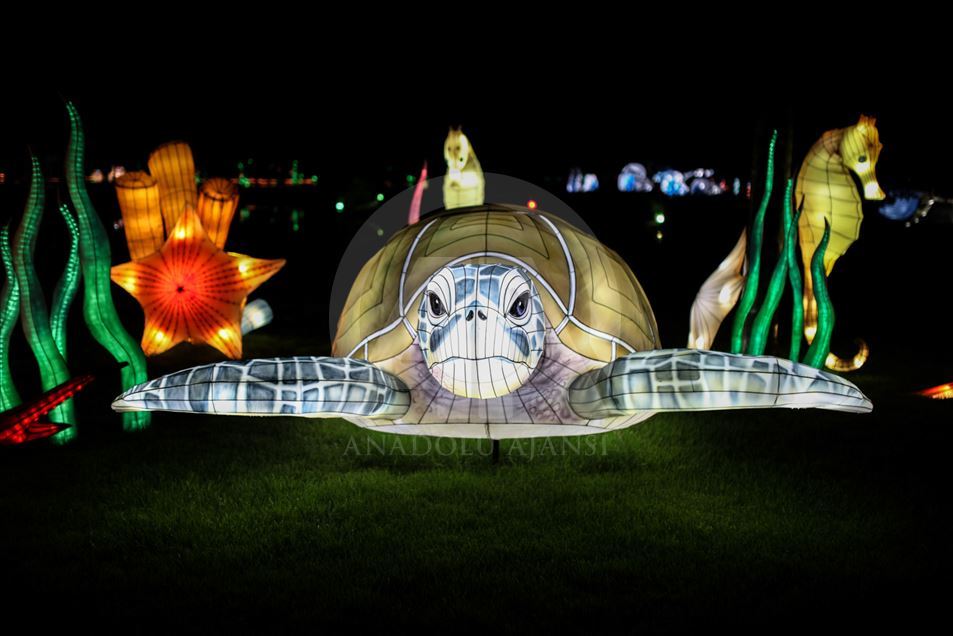 Festival "Colombia brilla" en el Jardín Botánico de Bogotá