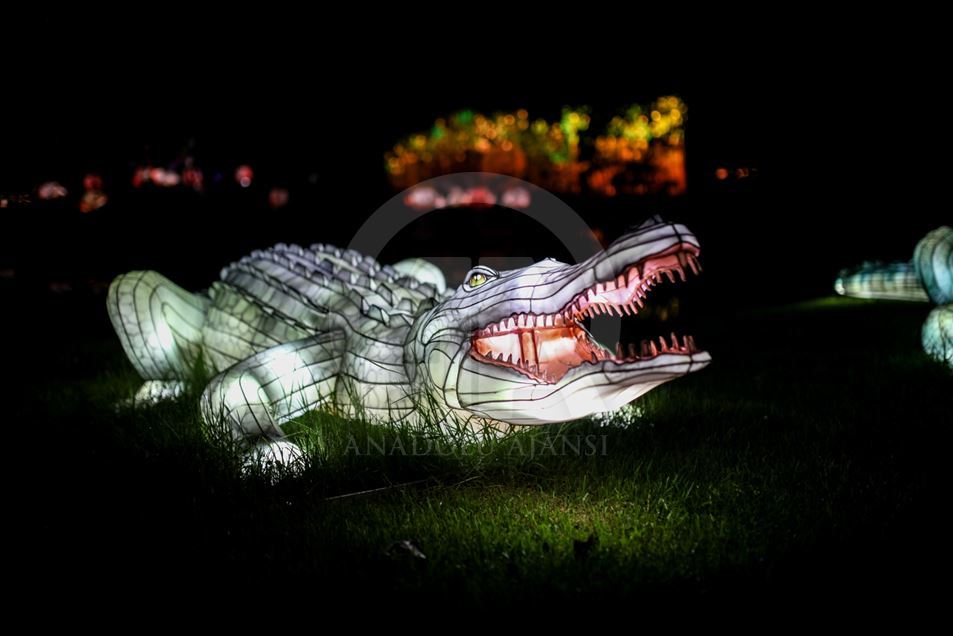 Festival "Colombia brilla" en el Jardín Botánico de Bogotá