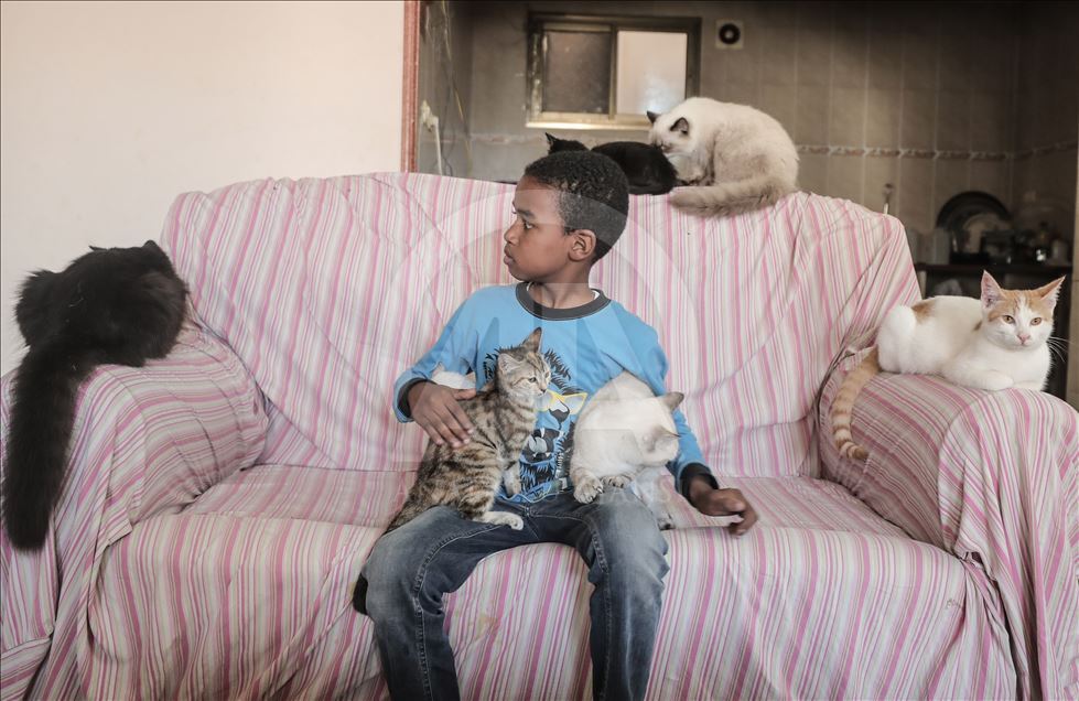 Abluka altındaki Gazze'de gönüllü arkadaşlarıyla sokak hayvanlarına sahip çıkıyor