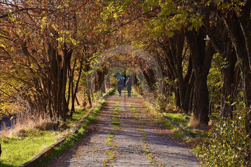 جاذبه‌های رنگارنگ پاییز در استان موش ترکیه