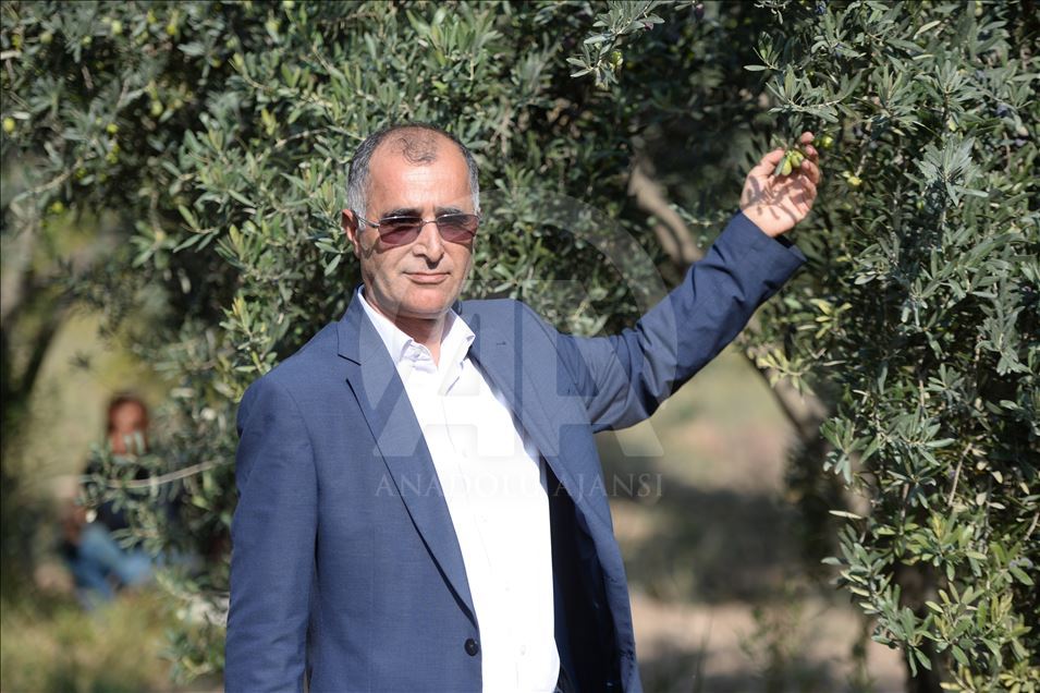 Rûnê Zeytûna Dêrîkê bi xêra pêşbaziyê li hemû dinyayê tê nasîn