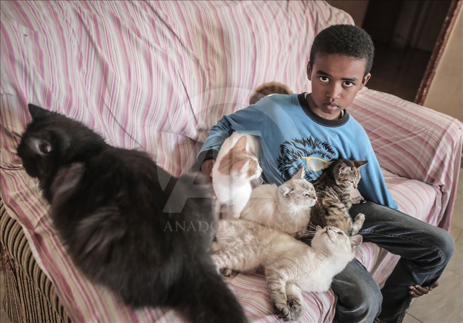 Abluka altındaki Gazze'de gönüllü arkadaşlarıyla sokak hayvanlarına sahip çıkıyor