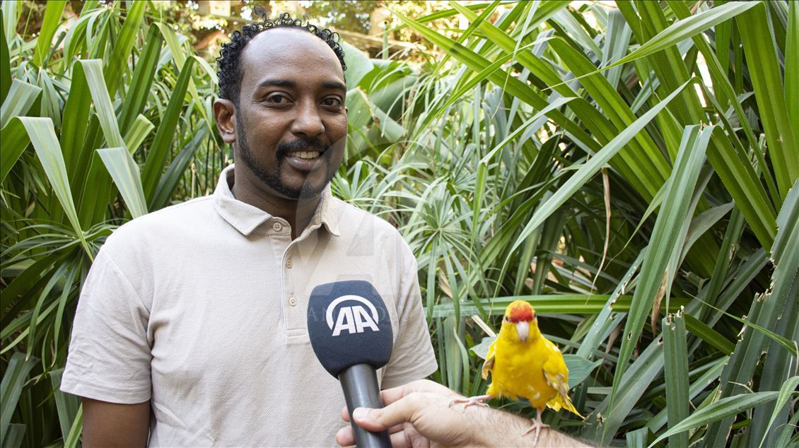 Суданец превратил свой сад в тропический лес 
