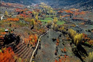 Золотая осень в центральной Анатолии