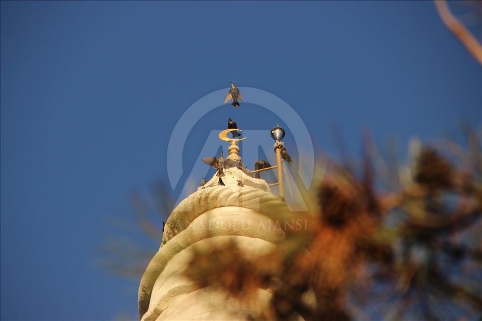 Tekirdağ'daki 480 yıllık Ayaspaşa Camisi zamana direniyor