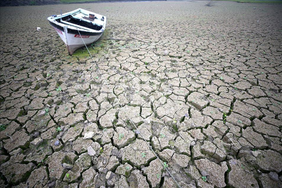 Water level decreased in Hasanlar Dam in Duzce Anadolu Ajansı