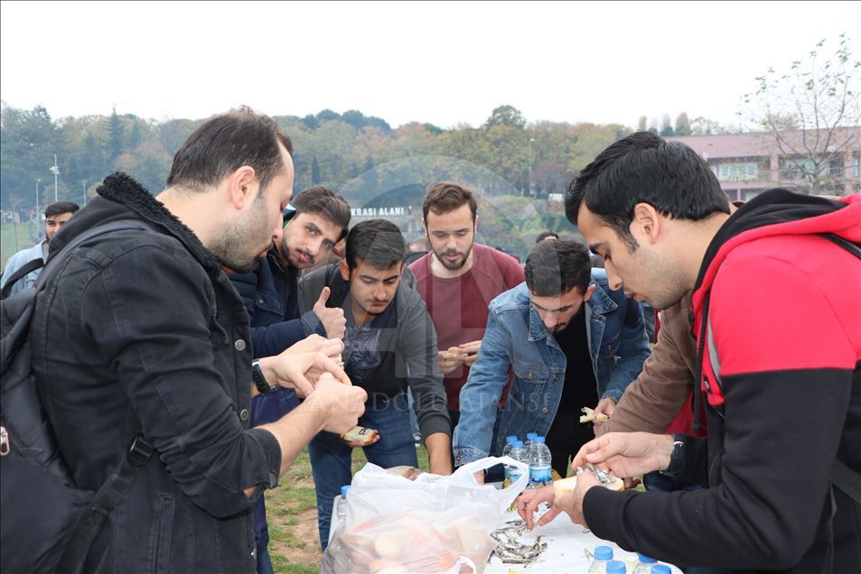 Trabzon'daki hamsi şöleninde 3 ton hamsi tüketildi