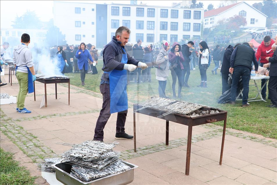 Trabzon'daki hamsi şöleninde 3 ton hamsi tüketildi