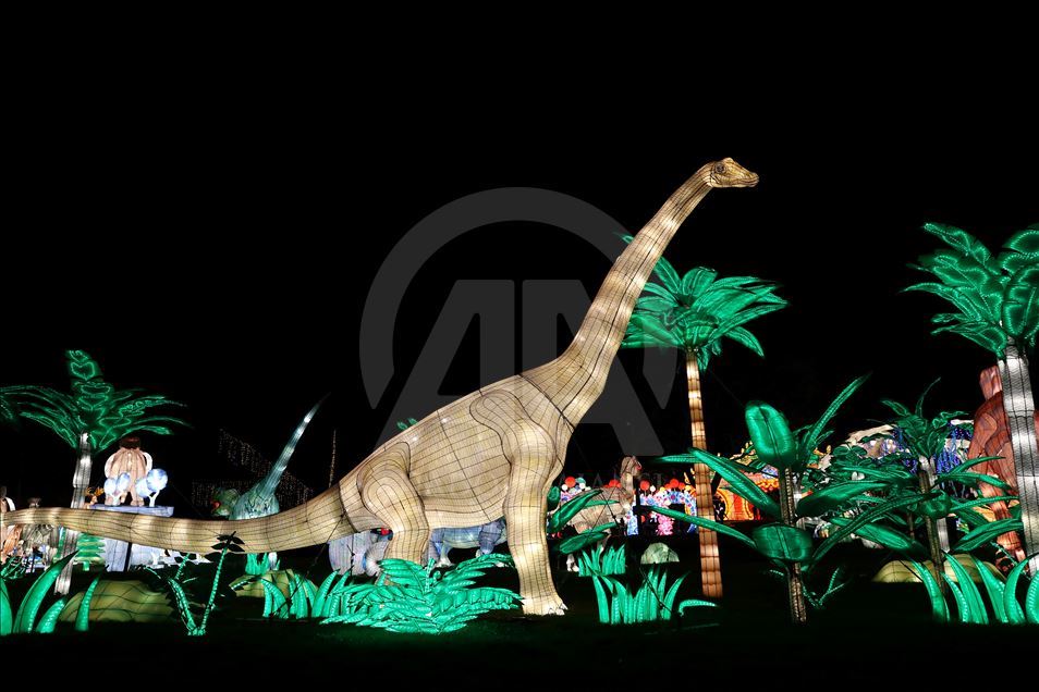  Winter Lantern Festival in New York City