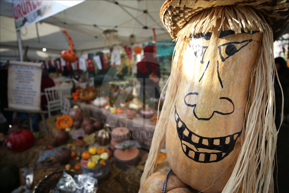 Düzce Kabak ve Kestane Festivali başladı