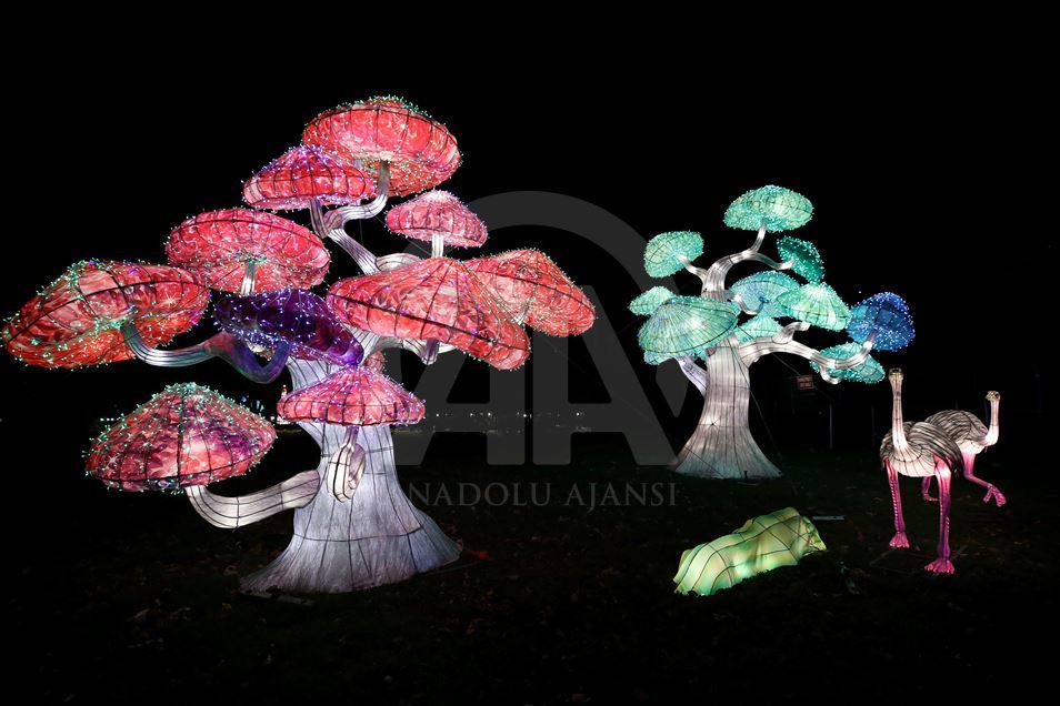  Winter Lantern Festival in New York City
