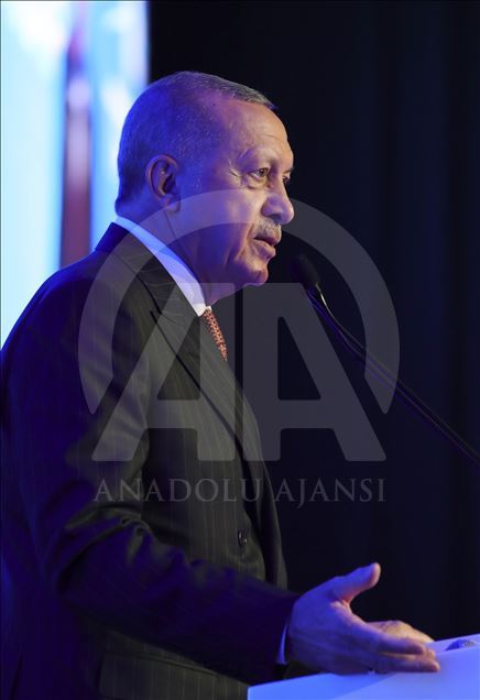 اردوغان: پروژه تاناپ نشانه چشم‌انداز صلح‌آمیز ترکیه است
