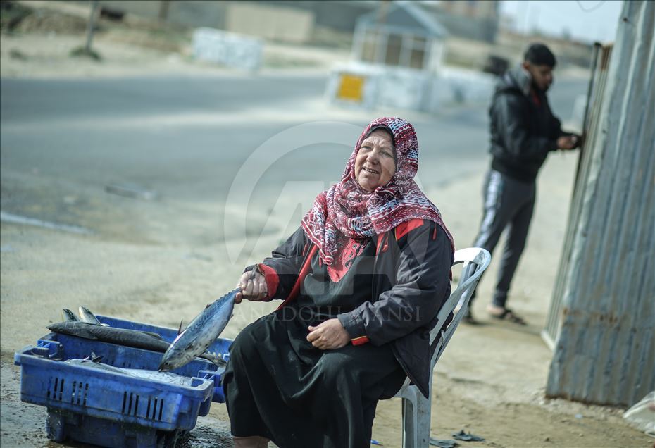 حكاية "أم جميل".. بائعة السمك الغزيّة