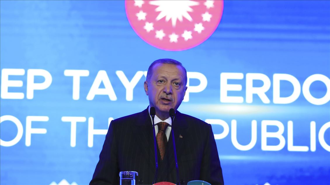 اردوغان: پروژه تاناپ نشانه چشم‌انداز صلح‌آمیز ترکیه است
