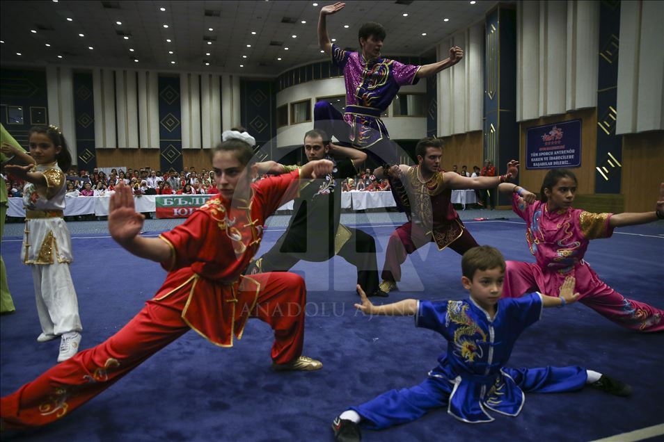 Na 4. Balkan Open Wushu prvenstvu bh. predstavnici osvojili zlato i bronzu