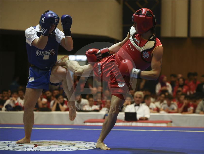 Balkan Açık Wushu Kung Fu Şampiyonası Ankara'da başladı