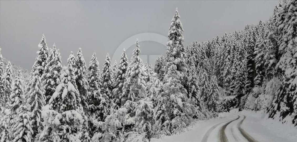 Giresun-Sivas kara yolu Eğribel Geçidi'nde kar yağışı