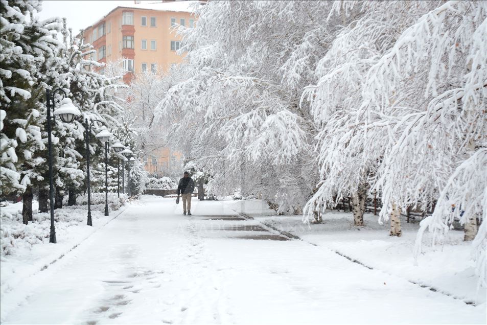 Kış cenneti Erzurum'da kar yağışı ile kartpostallık görüntüler oluştu