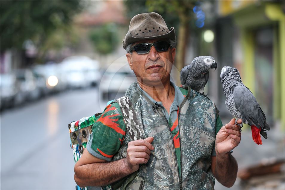 Иорданец в Стамбуле учит попугаев говорить 
