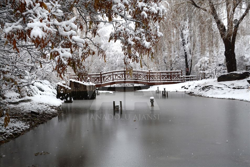 Kış cenneti Erzurum'da kar yağışı ile kartpostallık görüntüler oluştu