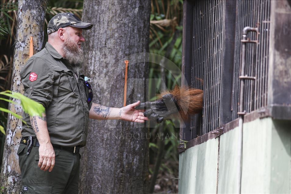 Pusat Suaka Orang Utan (PSO) di Kalimantan Timur