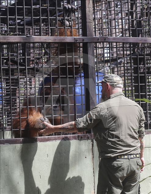 Pusat Suaka Orang Utan (PSO) di Kalimantan Timur