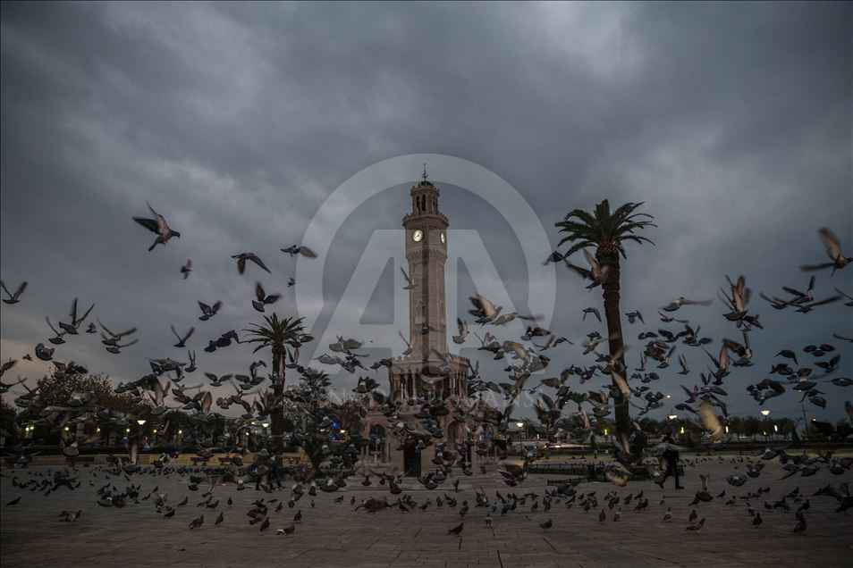 رقص زیبای کبوتران در آسمان ازمیر ترکیه