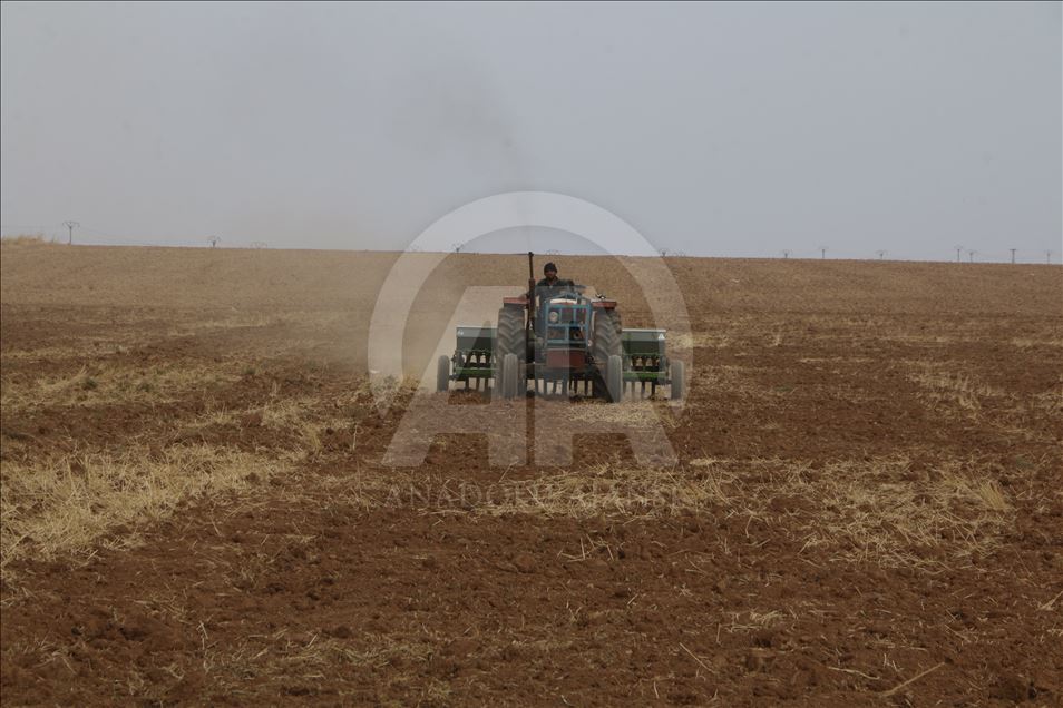 YPG/PKK işgali Tel Abyadlıların ekmeğini ellerinden aldı