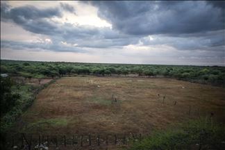 La vida en las rancherías de los indígenas wayúu en La Guajira