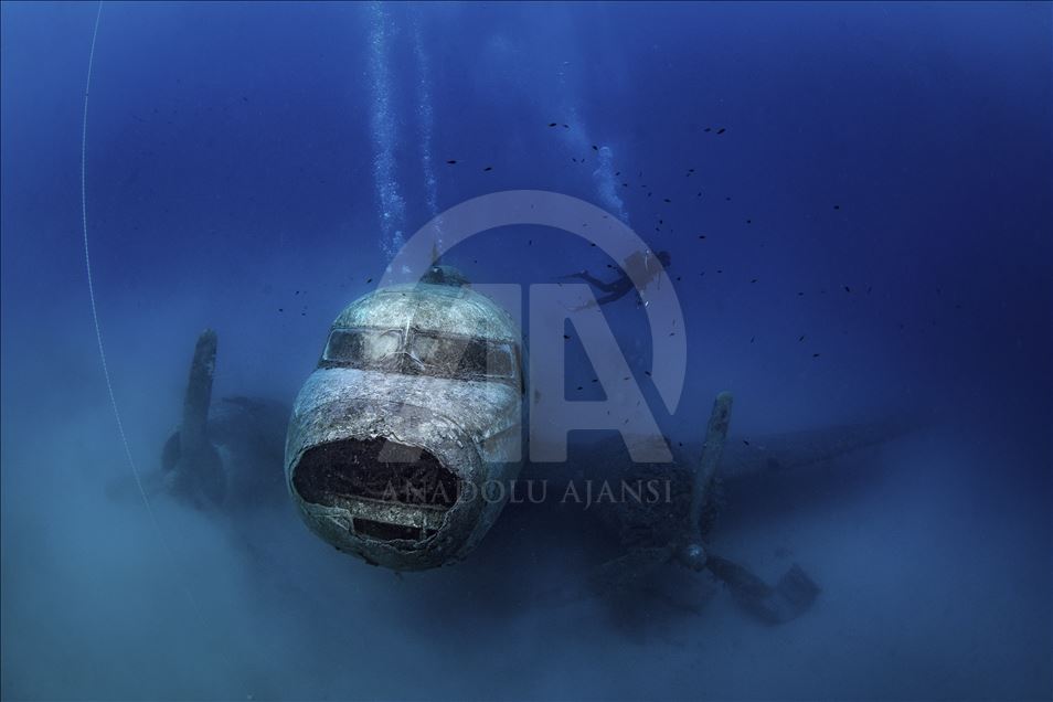 Anadolu Agency's Best Pictures of 2019 