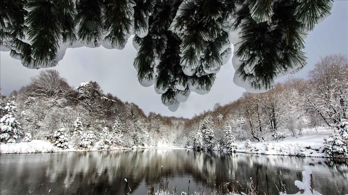 Winter in Domanic Mountains