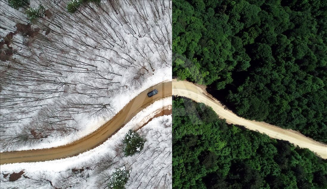 Anadolu Agency's Best Pictures of 2019 