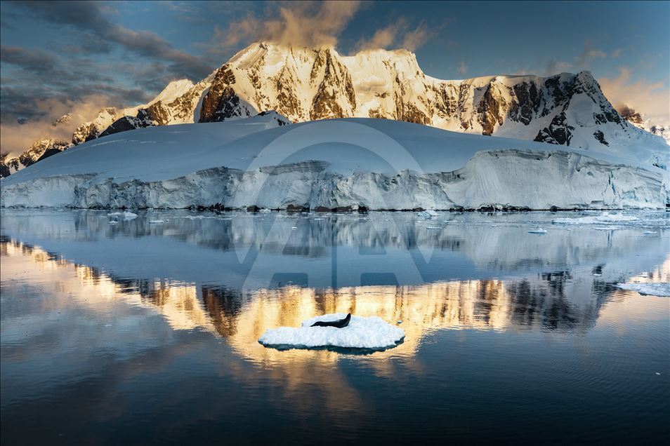 Anadolu Agency's Best Pictures of 2019 
